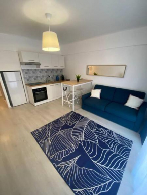 Joli Appartement 2 pieces Cannes